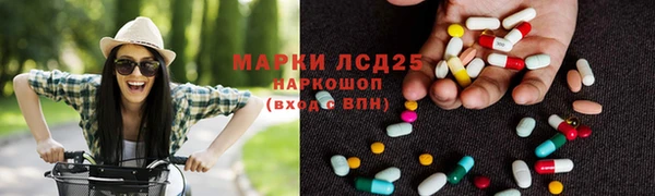 PSILOCYBIN Заволжье