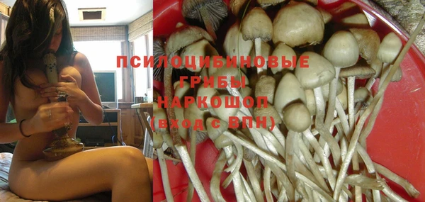PSILOCYBIN Заволжье