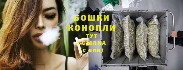 PSILOCYBIN Заволжье