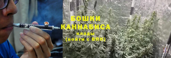 PSILOCYBIN Заволжье