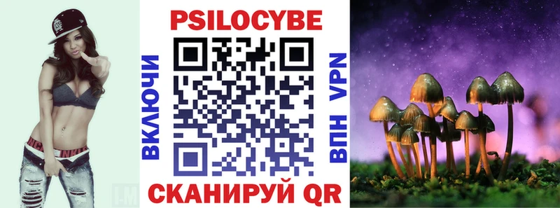 Купить закладки  Зверево  Псилоцибиновые грибы MAGIC MUSHROOMS 