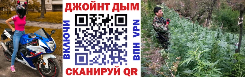 Каннабис Amnesia  Купить закладки  Зверево 